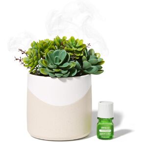Lifelines Plant Diffuser - Featuring Cascading Mist & Aromas - Modern Planter Aromatherapy Diffuser - Faux Plant Diffuser - 100% Pure Essential Oils & Sustainably Sources Botanicals - Natural - Grass