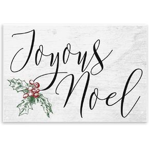 Stupell Industries Joyous Noel Christmas Black Framed Wall Art, 16x20, Multicolor