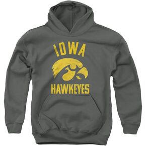 University of Iowa Official Hawkeyes Logo Unisex Youth Pull-Over Hoodie,Charcoal, Medium