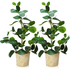 Set of 2 Artificial Ficus Tree Fake Plants in Weaved Pot 20" Artificial Plants Indoor Faux Plant Faux Potted Plant Artificial Floor Plant Decor for Home Indoor Office Living Room Decor Green
