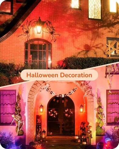 EDISHINE Halloween Orange LED Light Bulbs, 14W Orange Bulb Equivalent 100W Colored Light Bulb, E26 Base A19 Light Bulbs for Halloween Decoration, Holiday Lighting, Porch Patio, 4 Pack in Saudi Arabia