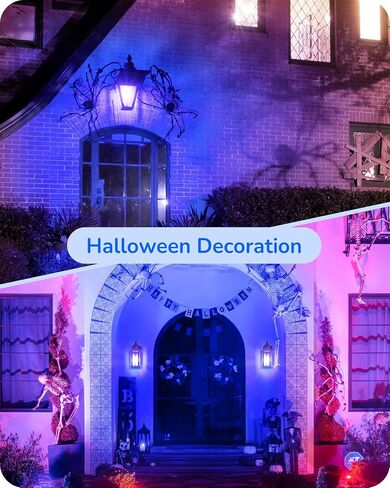 EDISHINE Halloween Orange LED Light Bulbs, 14W Orange Bulb Equivalent 100W Colored Light Bulb, E26 Base A19 Light Bulbs for Halloween Decoration, Holiday Lighting, Porch Patio, 4 Pack in Saudi Arabia