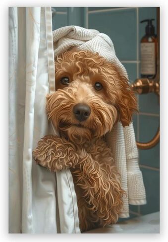 الحمام جدار الفن مضحك Goldendoodle في دش الفكاهة الحيوان المشارك صورة قماش طباعة ديكور الحمام لمحبي الكلاب 8x12 بوصة غير المؤطرة in Saudi Arabia