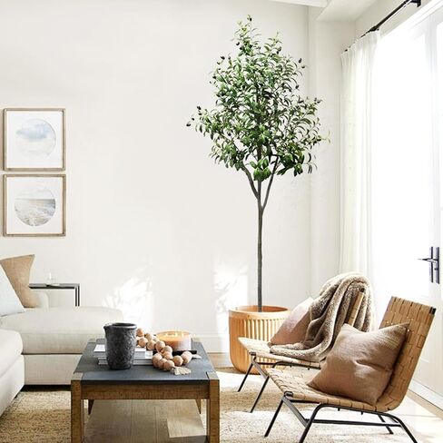 شجرة زيتون صناعية بطول 5 أقدام، شجرة حرير زيتون صناعية طويلة بوعاء مع زارع كبير لفروع زيتون صناعية وفواكه، غرف معيشة حديثة، مكتب منزلي، ديكور حديقة داخلي وخارجي (5 أقدام) in Kuwait