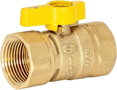Eastman 1 Inch FIP Straight Gas Ball Valve with 1/4-Turn Handle, Brass Plumbing Fitting, 60013 in Saudi Arabia