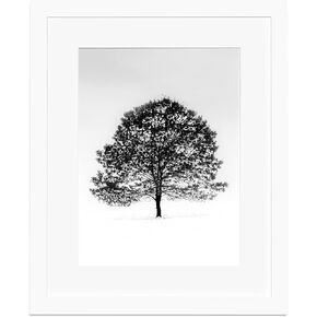 PEALSN 8.5x11 Picture Frame, Display Pictures 6 x 8 with Mat or 8.5 x 11 Without Mat for Wall Mounting Display, Photo Frames, White.