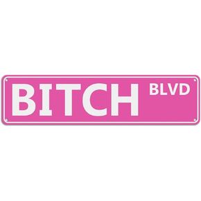 T&R Pink PRINCESS ST Sign, 16 x 4 inches .040 Aluminum, Room Decor for Girls Cave, Bedroom, Dorm, Wall, 4 Pre-drilled Holes