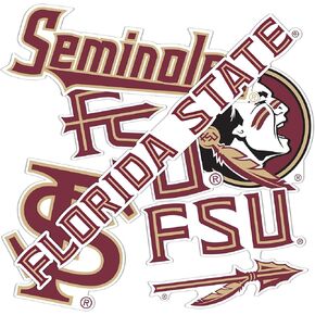 Desert Cactus Florida State University Sticker Seminoles FSU Stickers Vinyl Decals Laptop Water Bottle Car T2 (Type 2-2)