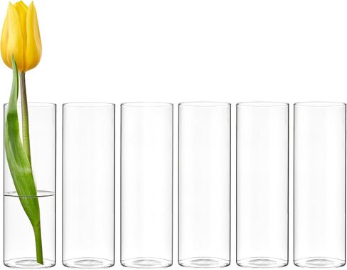 CYS EXCEL Glass Bud Vases Set of 6 Clear Mini Small Flower Vases Wedding Centerpiece Table Decorations Event Party Home Décor Floral Arrangement in Saudi Arabia