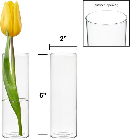 CYS EXCEL Glass Bud Vases Set of 6 Clear Mini Small Flower Vases Wedding Centerpiece Table Decorations Event Party Home Décor Floral Arrangement in Saudi Arabia