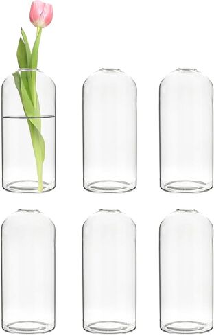 CYS EXCEL Glass Bud Vases Set of 6 Clear Mini Small Flower Vases Wedding Centerpiece Table Decorations Event Party Home Décor Floral Arrangement in Saudi Arabia