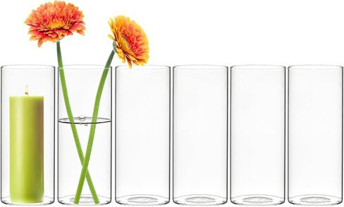 CYS EXCEL Glass Bud Vases Set of 6 Clear Mini Small Flower Vases Wedding Centerpiece Table Decorations Event Party Home Décor Floral Arrangement in Saudi Arabia