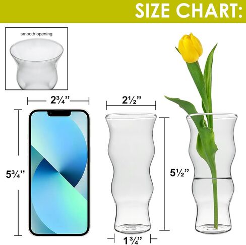 CYS EXCEL Glass Bud Vases Set of 6 Clear Mini Small Flower Vases Wedding Centerpiece Table Decorations Event Party Home Décor Floral Arrangement in Saudi Arabia