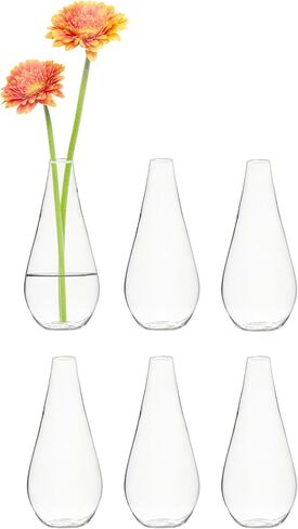 CYS EXCEL Glass Bud Vases Set of 6 Clear Mini Small Flower Vases Wedding Centerpiece Table Decorations Event Party Home Décor Floral Arrangement in Saudi Arabia