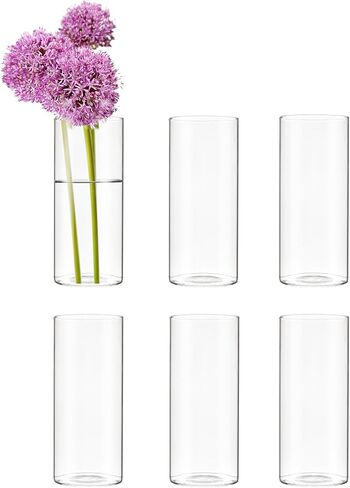 CYS EXCEL Glass Bud Vases Set of 6 Clear Mini Small Flower Vases Wedding Centerpiece Table Decorations Event Party Home Décor Floral Arrangement in Saudi Arabia