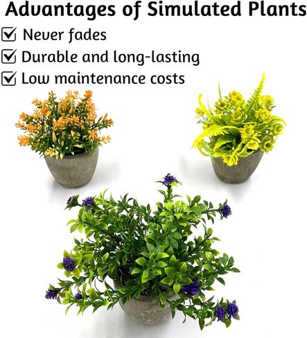 3 عبوات من النباتات المزيفة المصغرة، نباتات صغيرة بوعاء من صنع الإنسان، خضرة مزيفة صغيرة لديكور المنزل والمكتب الأنيق على الرفوف والمكاتب والحمامات وغرف النوم وغرف المزرعة in Kuwait