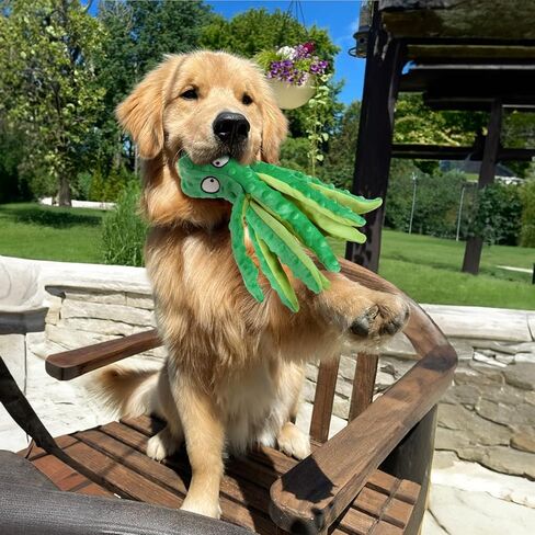 2 Pack Squeaky Dog Toys, Octopus Plush Dog Toys Stuffless Crinkle Pet Toys for Small, Medium, Large Dogs Teething, Durable Interactive Dog Chew Toys in Saudi Arabia