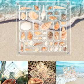 Acrylic Magnetic Seashell Display Box, Clear Seashell Display Case, Sea Shell Storage Box, Small Craft Organizers Container (Shell Shape)