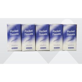 Pocket Tissue Facial Pocket Tissue 4 ply Tissue Travel Size Easy to carry on pocket 3 Pack of 30 bags each bag contain 10 Sheets Total Sheets 300, White