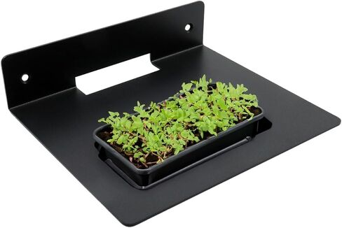 T Tulead المعادن العائمة الجرف جدار الجرف المتكلم حامل أسود عرض الرف رفوف الزاوية العائمة 2PCS لمكبرات الصوت والنباتات والهدايا التذكارية in Kuwait