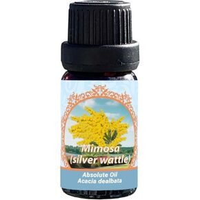 Mimosa (Silver Wattle) Absolute Oil, 100% Pure Therapeutic Grade (Undiluted Natural) 0.33 FL.OZ / 10ml