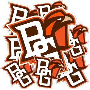 Desert Cactus Bowling Green State University Sticker Falcons BGSU Talons Up Stickers Vinyl Decals Laptop Water Bottle Car Scrapbook T3 (Type 3-1)