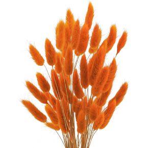 Uieke 17’’ Natural Bunny Tails Dried Flowers, 240 Pcs Dried Lagurus Ovatus, Dried Pampas Grass for Flower Arrangements Wedding Centerpieces Home Boho Baby Shower Party Fall Decorations (Orange)