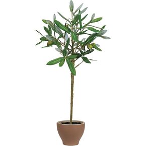 Creative Co-Op Evergreen Faux Olive Topiary Tree in Dolomite Pot, Green