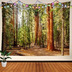 BaoNews Autumn Tree California Tapestry, Redwood Trees Sequoia National Park Large Wall Hanging Tablecloths Psychedelic Tapestry Bedroom Living Room Dorm 59.1 x 82.7 inches(Redwood Green Wood)