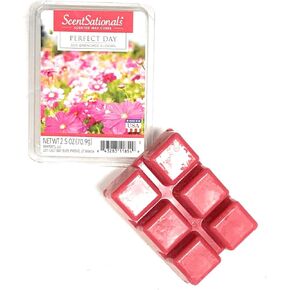 مكعبات شمع معطرة مثالية للنهار من سينتساتيونالز، عبوة 2.5 أونصة in Kuwait