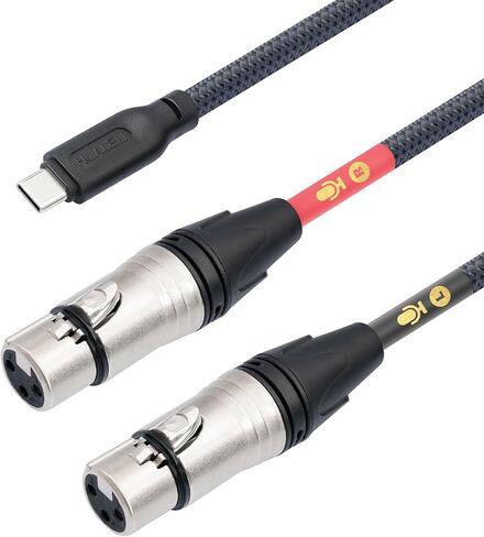 HUALUE 3.3Feet Stereo Dual XLR Female to USB C,Smartphone USB C Microphone Cable，Dual Channel Stereo Input USB C to XLR Female for iPhone 15 ipad Dynamic Microphone Laptop in Saudi Arabia