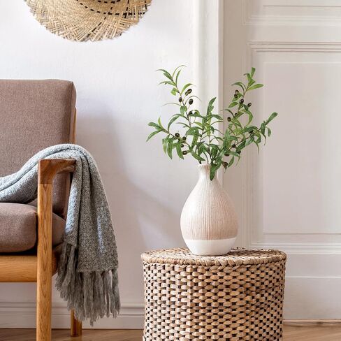 ucky Olive Branches, Realistic Coffee Colored Branches and Fruits, Green Olive Branch False Leaf Vase Decoration,for Home Table Center Decoration,Greenery Stems in Saudi Arabia