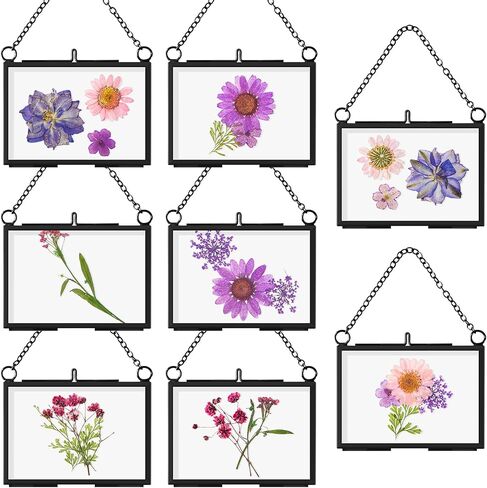 Thyle 8 Pieces 3.5 x 2.5 Inch Glass Frame for DIY Pressed Flowers Art, Brass Hanging Photo Frame Clear DIY Pressed Flower Wall Art with Chain Floating Glass Frame Dried Flower Frame for Display in Saudi Arabia
