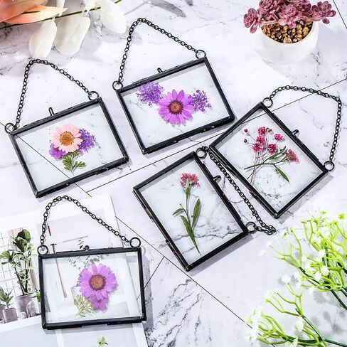 Thyle 8 Pieces 3.5 x 2.5 Inch Glass Frame for DIY Pressed Flowers Art, Brass Hanging Photo Frame Clear DIY Pressed Flower Wall Art with Chain Floating Glass Frame Dried Flower Frame for Display in Saudi Arabia