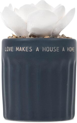 Demdaco Succulent Oil Diffuser - Home in Saudi Arabia
