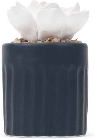 Demdaco Succulent Oil Diffuser - Home in Saudi Arabia