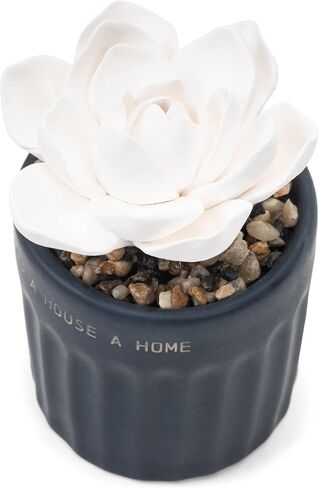 Demdaco Succulent Oil Diffuser - Home in Saudi Arabia