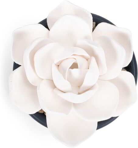 Demdaco Succulent Oil Diffuser - Home in Saudi Arabia
