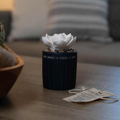Demdaco Succulent Oil Diffuser - Home in Saudi Arabia
