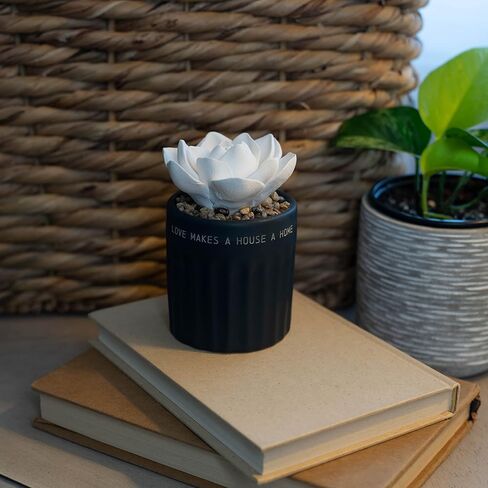 Demdaco Succulent Oil Diffuser - Home in Saudi Arabia