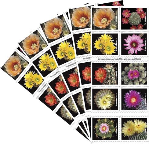 Cactus Flowers 2 Books of 20 Forever First Class US Postage Stamps Celebration Wedding in Saudi Arabia