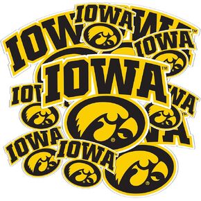 Desert Cactus University of Iowa Stickers Hawkeyes Vinyl Decals Laptop Water Bottle Car Scrapbook 11.38x8.94 Sheet T3 (Type 3-1)