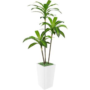 Artificial Dracaena Tree 7FT, Faux Dracaena Tree with Tall White Planter, Realistic Leaves & Natural Wood Trunk, Ideal for Home Decor and Housewarming Gift