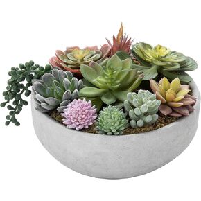 MyGift 8-Inch Artificial Succulent Plant Arrangement, Assorted Fake Plants in Modern Black Round Concrete Planter Bowl