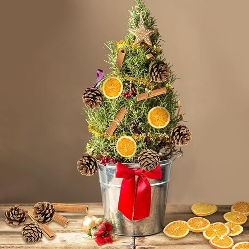 60 Pcs Christmas Tree Decorations Including 25 Dried Orange Slices 25 Natural Pine Cones 10 Cinnamon Sticks for Christmas Tree DIY Crafts Vase Filler Home Wedding Decorations Potpourri in Saudi Arabia