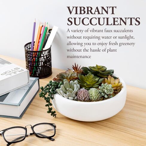 MyGift 8-Inch Artificial Succulent Plant Arrangement, Assorted Fake Plants in Modern Black Round Concrete Planter Bowl in Saudi Arabia
