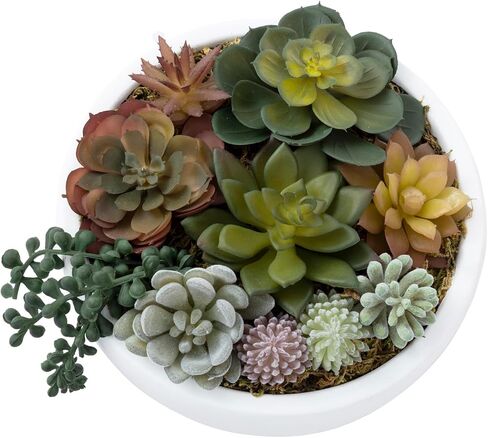 MyGift 8-Inch Artificial Succulent Plant Arrangement, Assorted Fake Plants in Modern Black Round Concrete Planter Bowl in Saudi Arabia