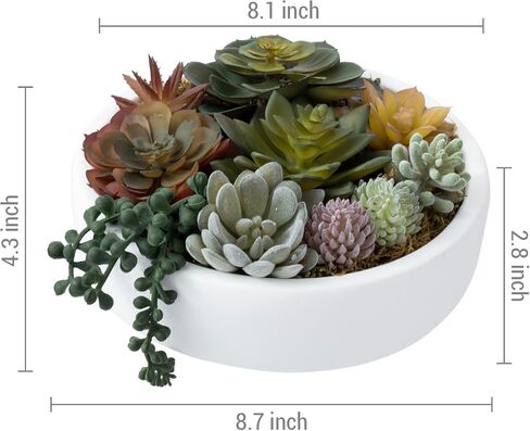 MyGift 8-Inch Artificial Succulent Plant Arrangement, Assorted Fake Plants in Modern Black Round Concrete Planter Bowl in Saudi Arabia