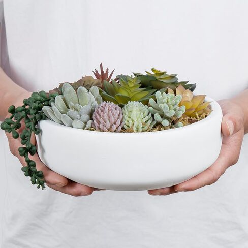 MyGift 8-Inch Artificial Succulent Plant Arrangement, Assorted Fake Plants in Modern Black Round Concrete Planter Bowl in Saudi Arabia