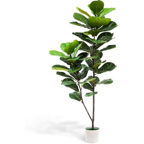 Artificial Fiddle Leaf Fig Tree 6Ft Potted Plants for Indoors Outdoor Faux Tree Front Door Decor Home Decorative Artificial Tree UV Resistant Evergreen Shrubs Modern Fake Plants for Front Porch